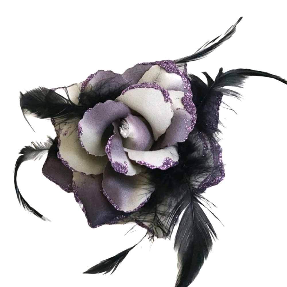 Hair Accessory NWOT